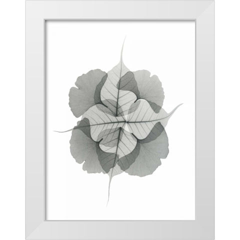 Kaleidoscope Sinko White Modern Wood Framed Art Print by Koetsier, Albert