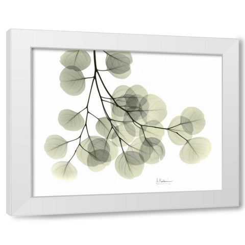 Eucalyptus Sweep White Modern Wood Framed Art Print by Koetsier, Albert