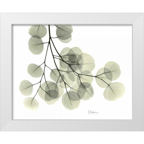 Eucalyptus Sweep White Modern Wood Framed Art Print by Koetsier, Albert