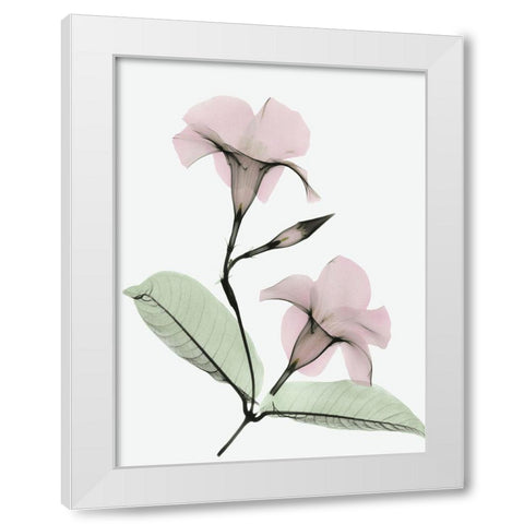 Serene Mandelila White Modern Wood Framed Art Print by Koetsier, Albert