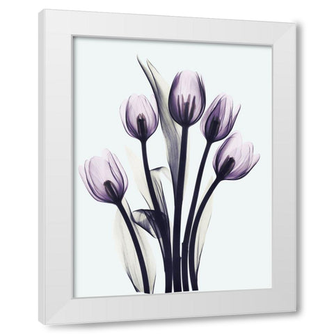 Essentially Tulips White Modern Wood Framed Art Print by Koetsier, Albert