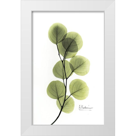 Eucalyptus White Modern Wood Framed Art Print by Koetsier, Albert