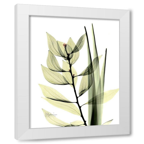 Leaf Composition White Modern Wood Framed Art Print by Koetsier, Albert