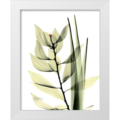 Leaf Composition White Modern Wood Framed Art Print by Koetsier, Albert