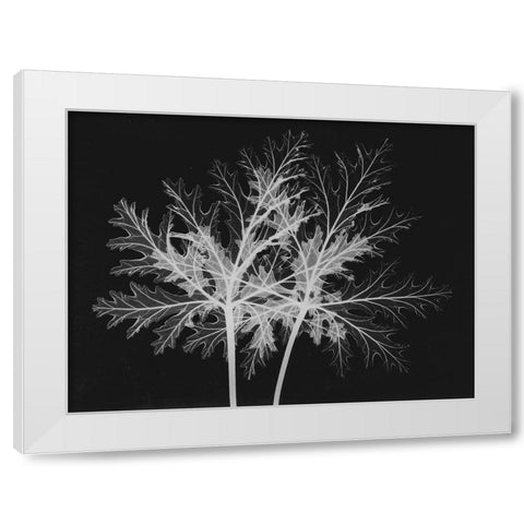 Leaves Seq White Modern Wood Framed Art Print by Koetsier, Albert