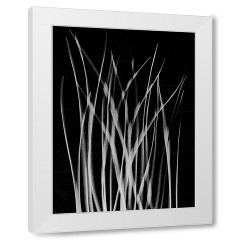 Grassy Heaven White Modern Wood Framed Art Print by Koetsier, Albert