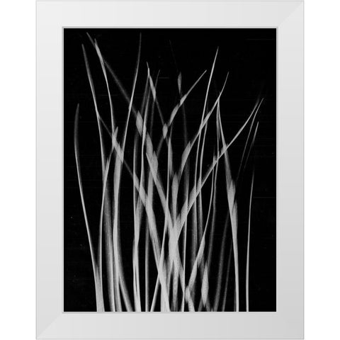 Grassy Heaven White Modern Wood Framed Art Print by Koetsier, Albert