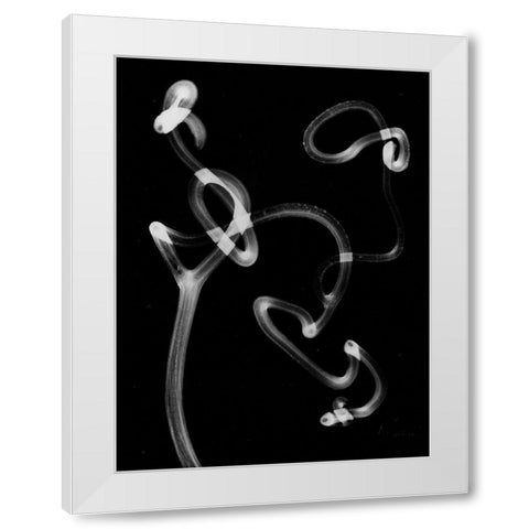 Tendril White Modern Wood Framed Art Print by Koetsier, Albert