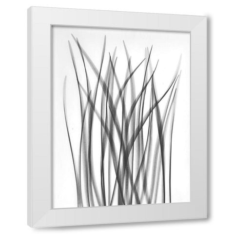 Flower Leaf White Modern Wood Framed Art Print by Koetsier, Albert