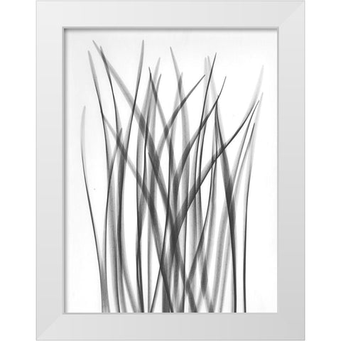 Flower Leaf White Modern Wood Framed Art Print by Koetsier, Albert