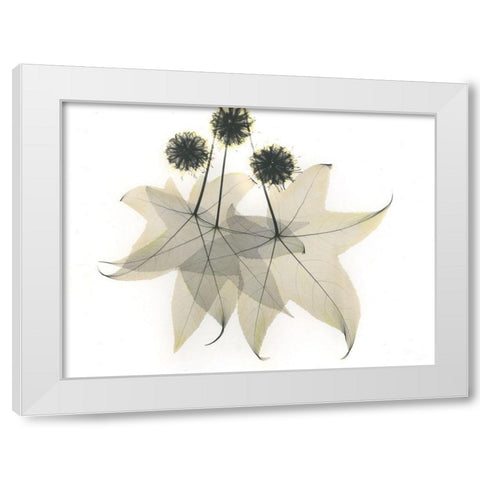 Liquid Ambar White Modern Wood Framed Art Print by Koetsier, Albert