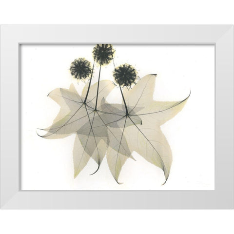 Liquid Ambar White Modern Wood Framed Art Print by Koetsier, Albert