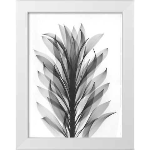 Song Of India White Modern Wood Framed Art Print by Koetsier, Albert