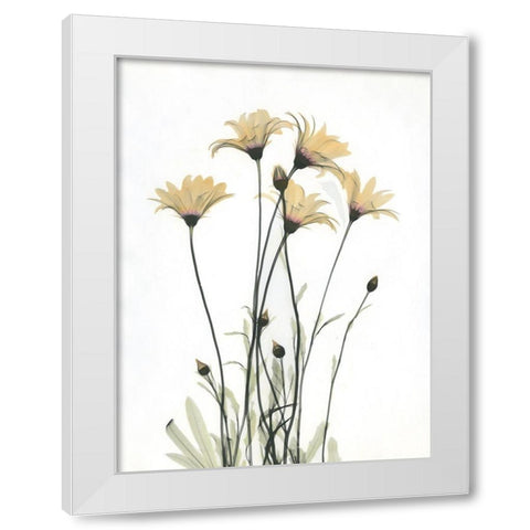 Wild Flowers White Modern Wood Framed Art Print by Koetsier, Albert