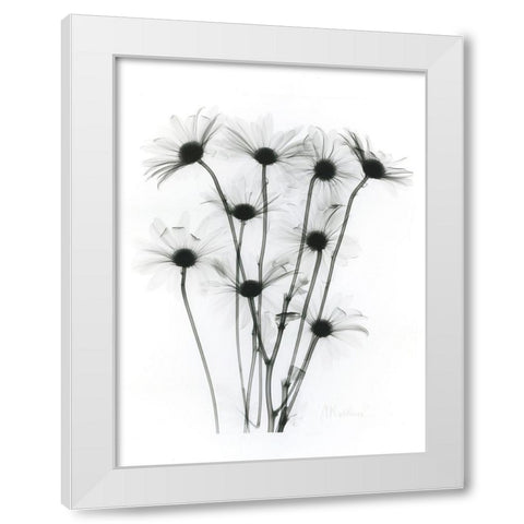 Marsharile 2 White Modern Wood Framed Art Print by Koetsier, Albert