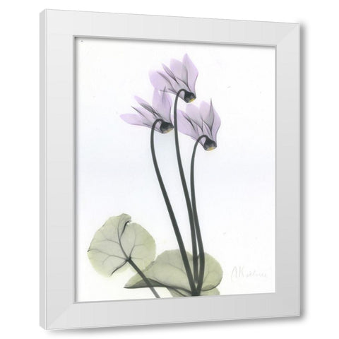 Cyclamen White Modern Wood Framed Art Print by Koetsier, Albert