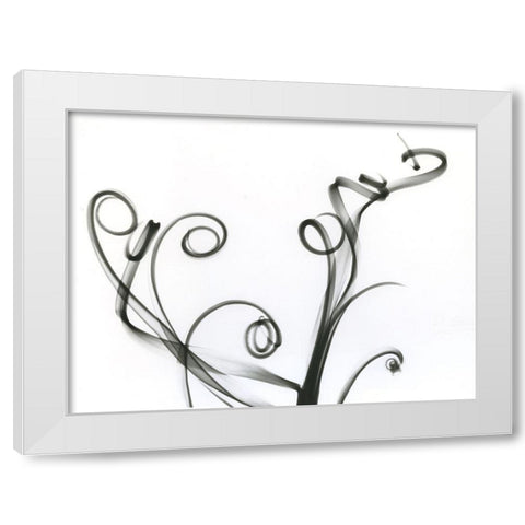 Tillandsia White Modern Wood Framed Art Print by Koetsier, Albert