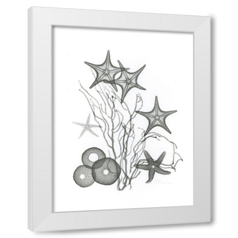 Starfish White Modern Wood Framed Art Print by Koetsier, Albert