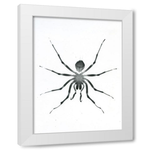 Our Friendly Tarantula White Modern Wood Framed Art Print by Koetsier, Albert