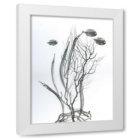 Sea Bottom White Modern Wood Framed Art Print by Koetsier, Albert