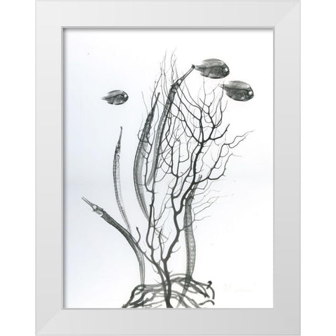 Sea Bottom White Modern Wood Framed Art Print by Koetsier, Albert