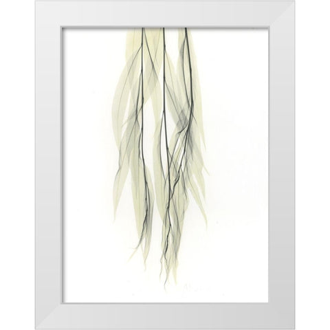 Weeping Willow White Modern Wood Framed Art Print by Koetsier, Albert