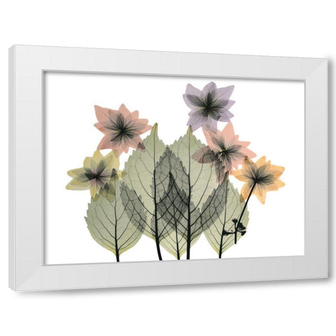 Hiding Lovelies White Modern Wood Framed Art Print by Koetsier, Albert