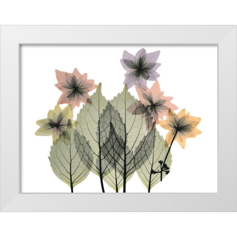 Hiding Lovelies White Modern Wood Framed Art Print by Koetsier, Albert