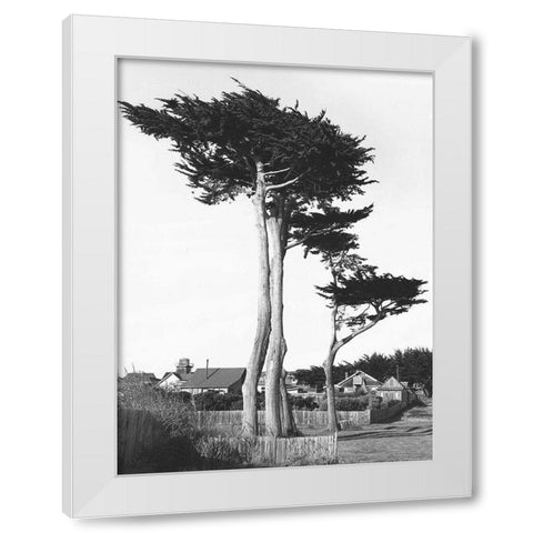 Looking Over White Modern Wood Framed Art Print by Koetsier, Albert