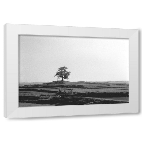 Lonely Field White Modern Wood Framed Art Print by Koetsier, Albert