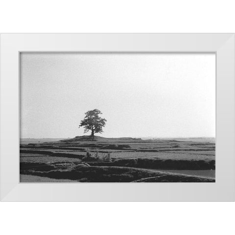 Lonely Field White Modern Wood Framed Art Print by Koetsier, Albert