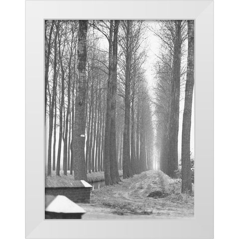 Road To Nowhere White Modern Wood Framed Art Print by Koetsier, Albert