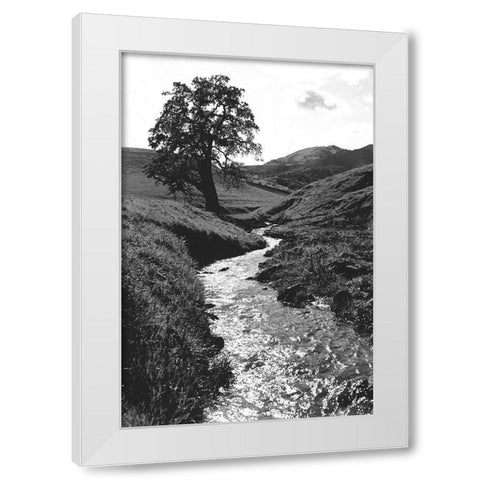 Stream Forward White Modern Wood Framed Art Print by Koetsier, Albert