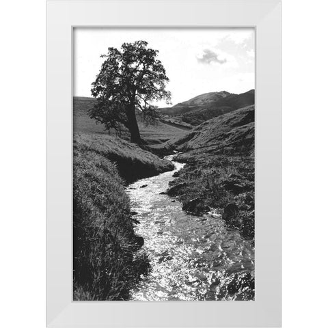 Stream Forward White Modern Wood Framed Art Print by Koetsier, Albert