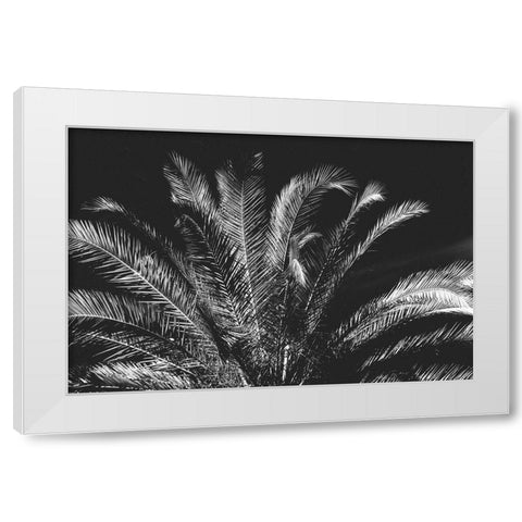 Tropical Night White Modern Wood Framed Art Print by Koetsier, Albert