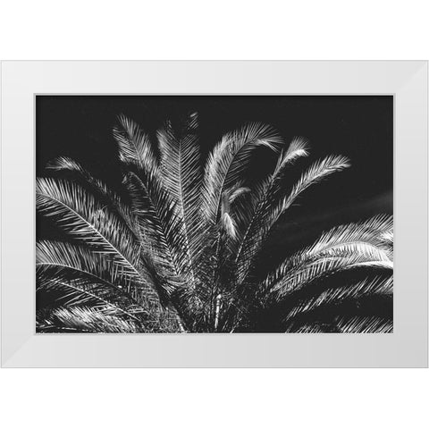 Tropical Night White Modern Wood Framed Art Print by Koetsier, Albert