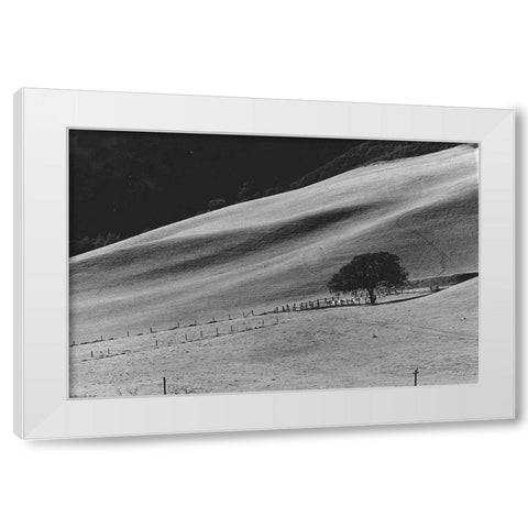 Calming Slope White Modern Wood Framed Art Print by Koetsier, Albert