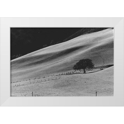 Calming Slope White Modern Wood Framed Art Print by Koetsier, Albert
