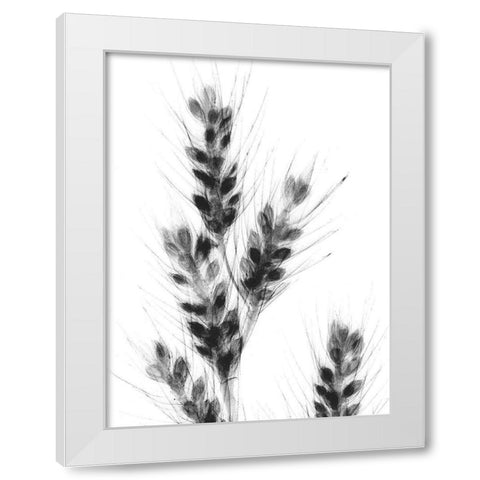 Bunches Of Oats White Modern Wood Framed Art Print by Koetsier, Albert