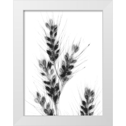 Bunches Of Oats White Modern Wood Framed Art Print by Koetsier, Albert