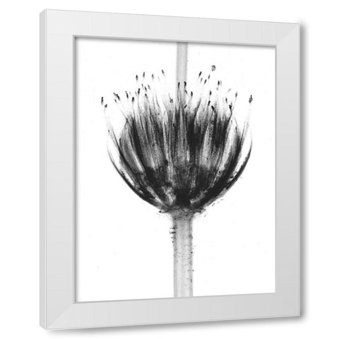 Botanical Crown White Modern Wood Framed Art Print by Koetsier, Albert