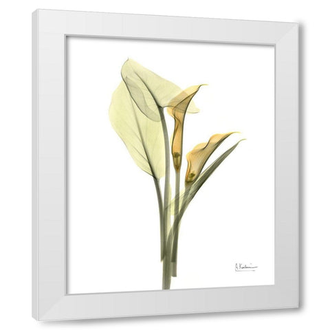 Orange Flowers Calla Lily White Modern Wood Framed Art Print by Koetsier, Albert