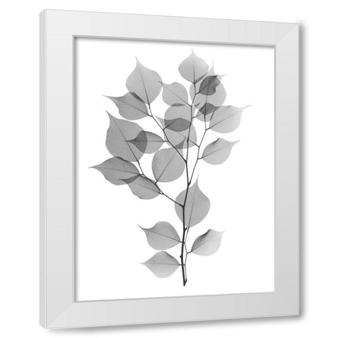 Myrtle Tree L182 White Modern Wood Framed Art Print by Koetsier, Albert