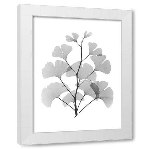 Ginko White Modern Wood Framed Art Print by Koetsier, Albert