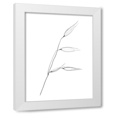 Wheat White Modern Wood Framed Art Print by Koetsier, Albert