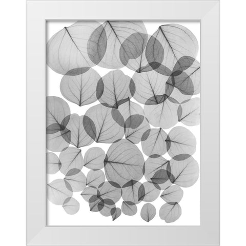 Baybean Leaves White Modern Wood Framed Art Print by Koetsier, Albert