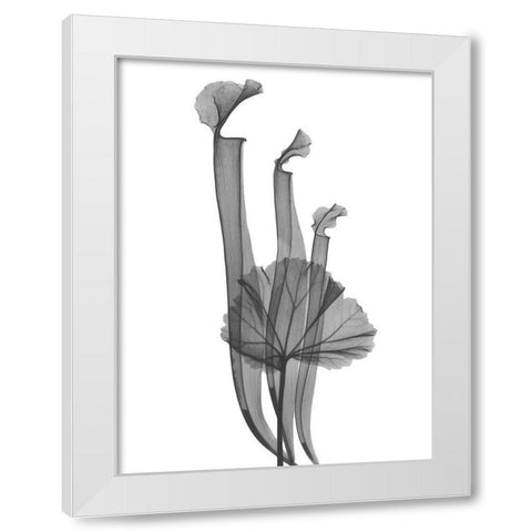 Marching Floral White Modern Wood Framed Art Print by Koetsier, Albert