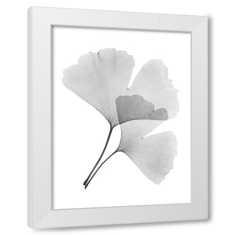 Ginko Pair White Modern Wood Framed Art Print by Koetsier, Albert