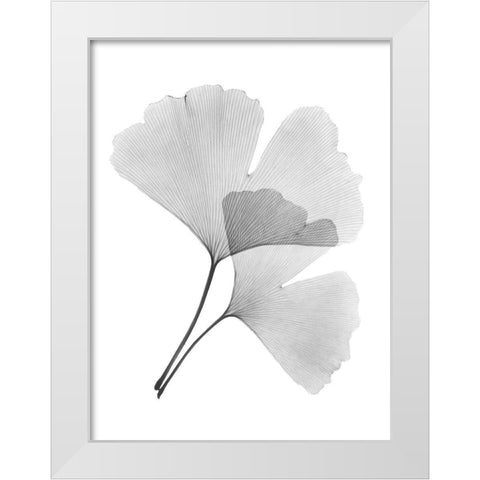 Ginko Pair White Modern Wood Framed Art Print by Koetsier, Albert