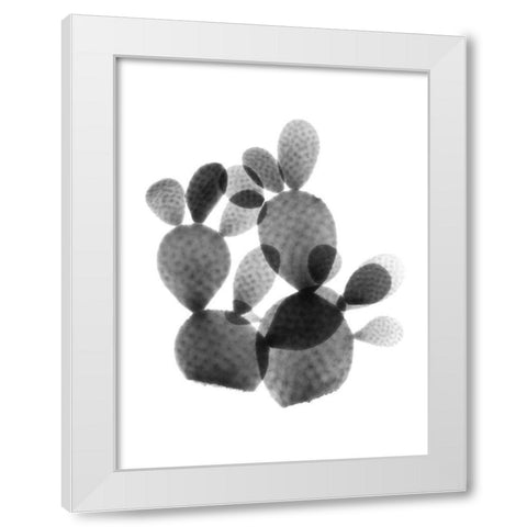 Cactus Bunch White Modern Wood Framed Art Print by Koetsier, Albert